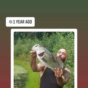 Meet your Posher, Charlie yella